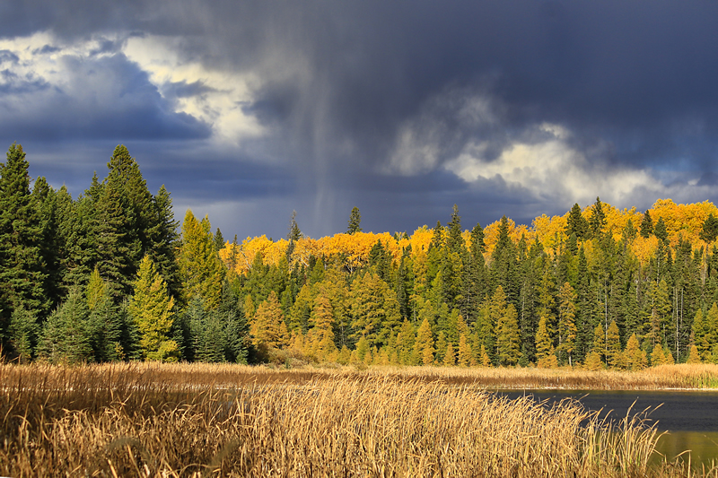 Fall Colours by Ray Holmberg